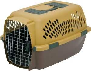 21089 PET TAXI INTERMEDIATE