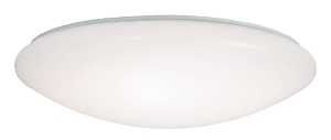 FLUSH MOUNT RND LNS 120V 15IN