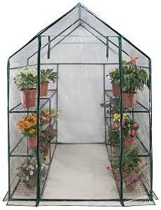 GREENHOUSE LARGE 56X56X77IN