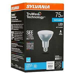 40913 LED PAR30 5000K 75W TW