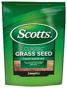 17290 SEED GRASS DENSE SHADE 3