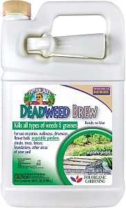 2603 BREW DEADWEED RTU 1GA