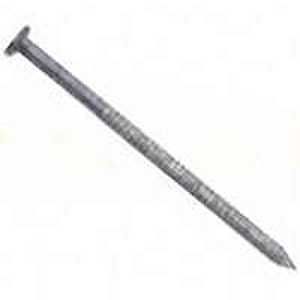 T447A TRTLMBR RING NAIL8D 50#