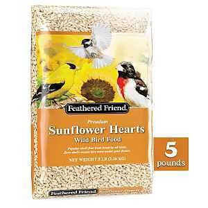 14403/14183 SUNFLOWER HEARTS