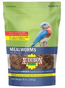 12816 FOOD BIRD MEALWORM 8OZ