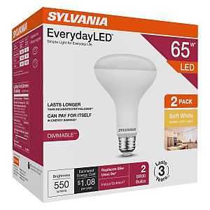 42021 BULB LED BR30 SW 3YR 65W