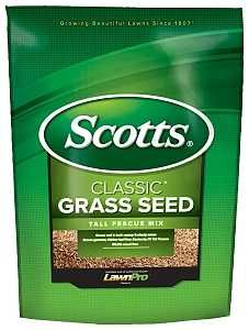 17325 SEED GRASS TALL FESCUE 7