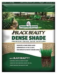 10622 DENSE SHADE SEED 1LB