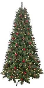 357-3516-T75C5 PINE BRSTLECONE