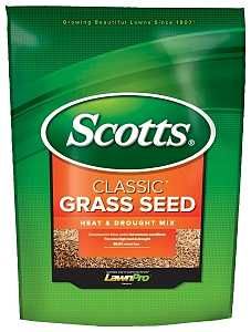 17295 SEED GRASS HT&DROUGHT 7