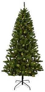 10973 TREE FIR DOUG 4-FUNC 7FT