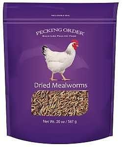 009331 MEALWORM F/CHICK 20OZ