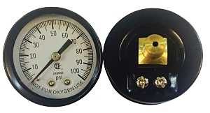 1307 PRESSURE GAUGE 100PSI LF