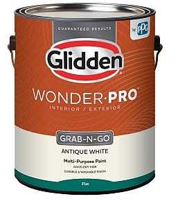GLWP30AW/01 PAINT FLT ANTWH GA