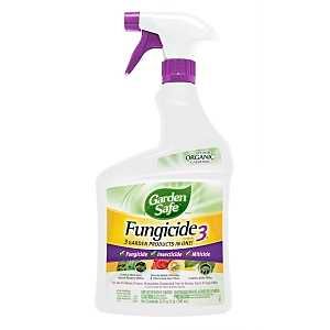 HG-93215 RTD FUNGICID WHT 32OZ