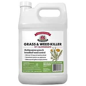 75271 GRASS & WEED KILL GAL