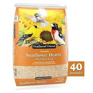 14415/14185 SUNFLOWER HEARTS