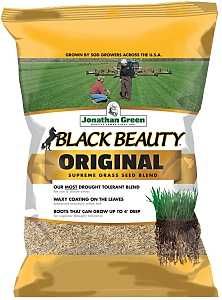 10316 BLACK BEAUTY ORIGINAL 50