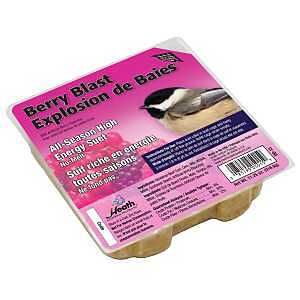 DD-15 BERRY BLAST SUET