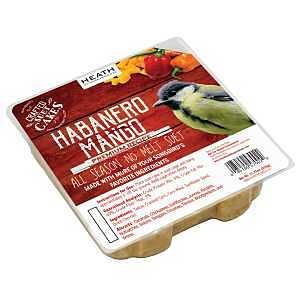 DDC8-12 SUET PRM HBMNGO11.75OZ