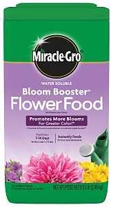 3019806/3009810 FD FLWR BLOOM