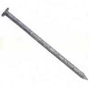 T449A TRTLMBR RNG NAIL10D 1#