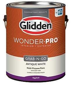 GLWP31AW/01 PAINT EGG ANTWH GA