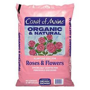 RF3500/1CBRFS20QT ROSE/FLOWER