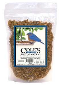 DRMW MEALWORM BIRD DRIED 3.5OZ
