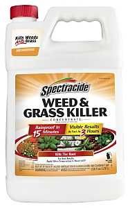 HG-96620 KILLER WEED&amp;GRAS 1GAL