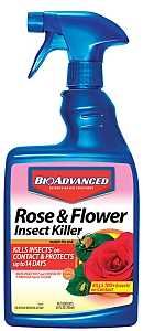 708570A KILLER INSECT FLWR 24