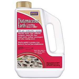 120 DIATMACEOUS EARTH 1.3LB