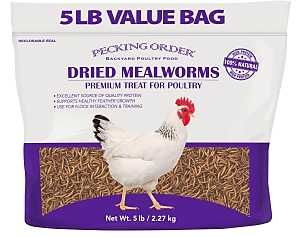009351 POULTRY FEED 5LB BAG