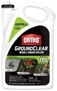 4613504 KILLER WEED&amp;GRASS 1GAL