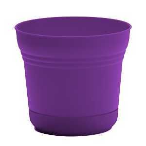 SP07928 SATURN PLNTR LILAC 7IN