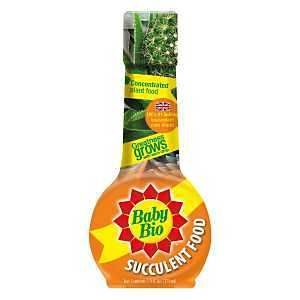 800520A HSEPLNT SUCCULENT FOOD