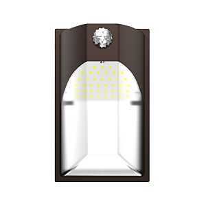 EWP15FSDBZ LIGHT WP D2D 100W