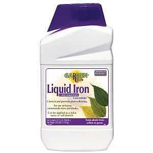 299 IRON LIQUID CONCENTRTE 1QT