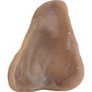 36069 PIG EAR NATL INSTNCT MED