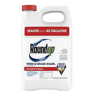 5376804 KILLER WEED&amp;GRASS 1GA