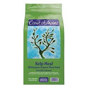 KM6000/CCKPF4LBCASE FOOD 4LB