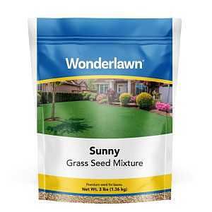 12155 SEED GRASS SUNNY LWN 3LB