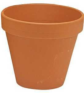 800110B FLWR DSGN POT RD CLAY