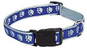 ZA8871 06 19 PAWPRINT COL 6-10