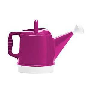 DWC2-15 DELUXE WATER CAN 2GA
