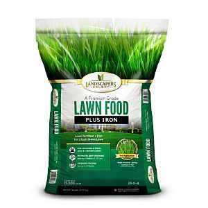 7615404 LAWN FERTILIZER W/IRON