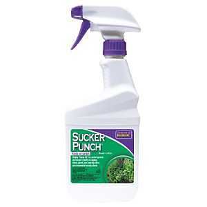 2761 CONTROL WEED RTU 16OZ