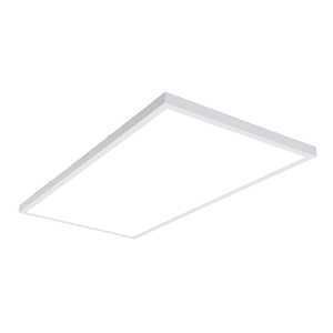 24MMS-L3C3-UNV PANEL LT 2X4FT