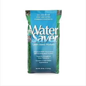 11625 SEED GRASS WTR SVR 25LB