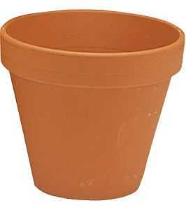 800114 POT TERRA COTTA 7.75IN